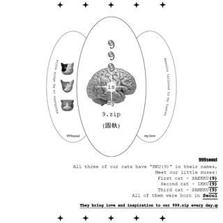 shop-profile-mobile